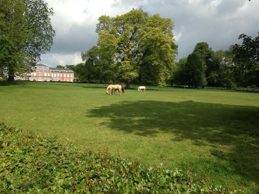 B&B De Henehoeve Heks Екстер'єр фото