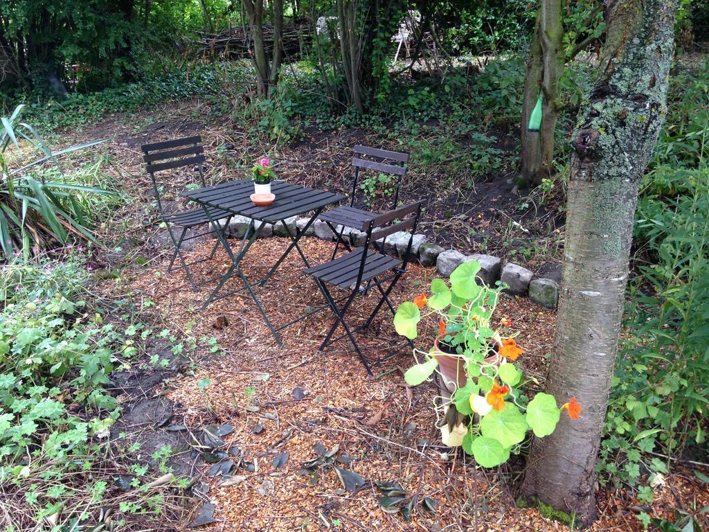 B&B De Henehoeve Heks Екстер'єр фото