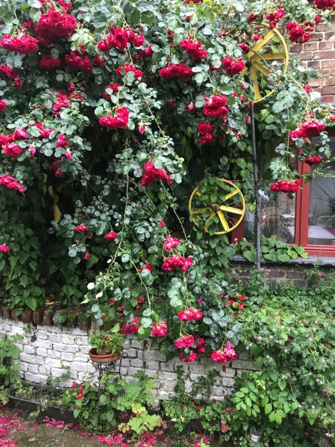 B&B De Henehoeve Heks Екстер'єр фото
